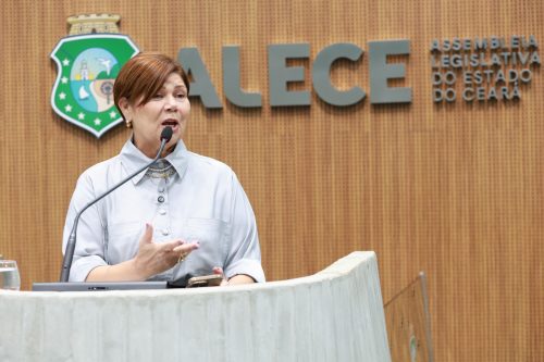 Foto: Deputada Jô Farias propõe selo “É do Ceará” para incentivar o consumo de produtos locais