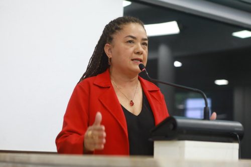 Foto: Lei de autoria da vereadora Adriana Almeida garante prioridade na matrícula escolar para filhos de mulheres vítimas de violência doméstica