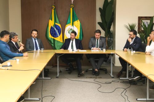 Foto: Romeu Aldigueri garante articulação com bancada federal para modificar MP que impacta produção de energia renovável