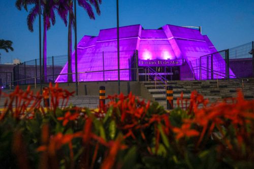 Foto: Alece apoia campanha Fevereiro Roxo e ilumina prédios ao longo do mês